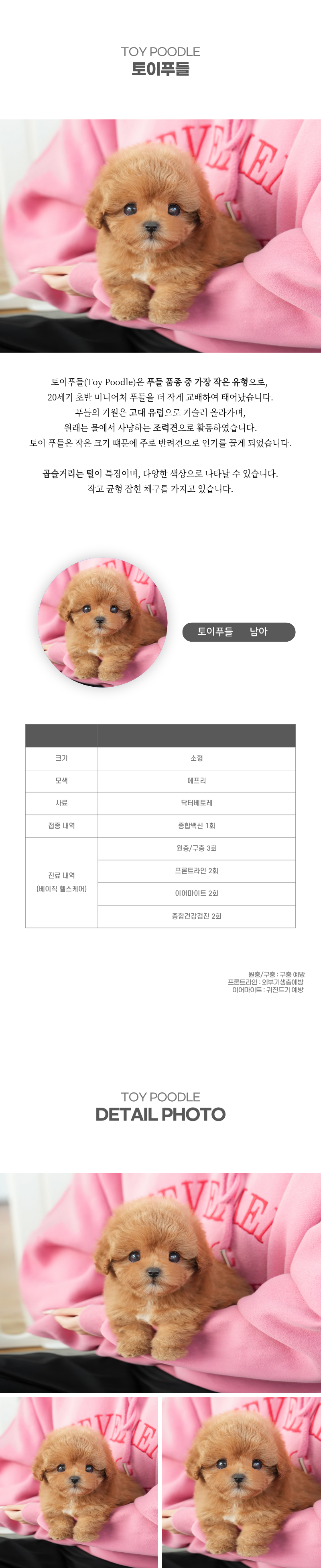 토이푸들_상세이미지_2